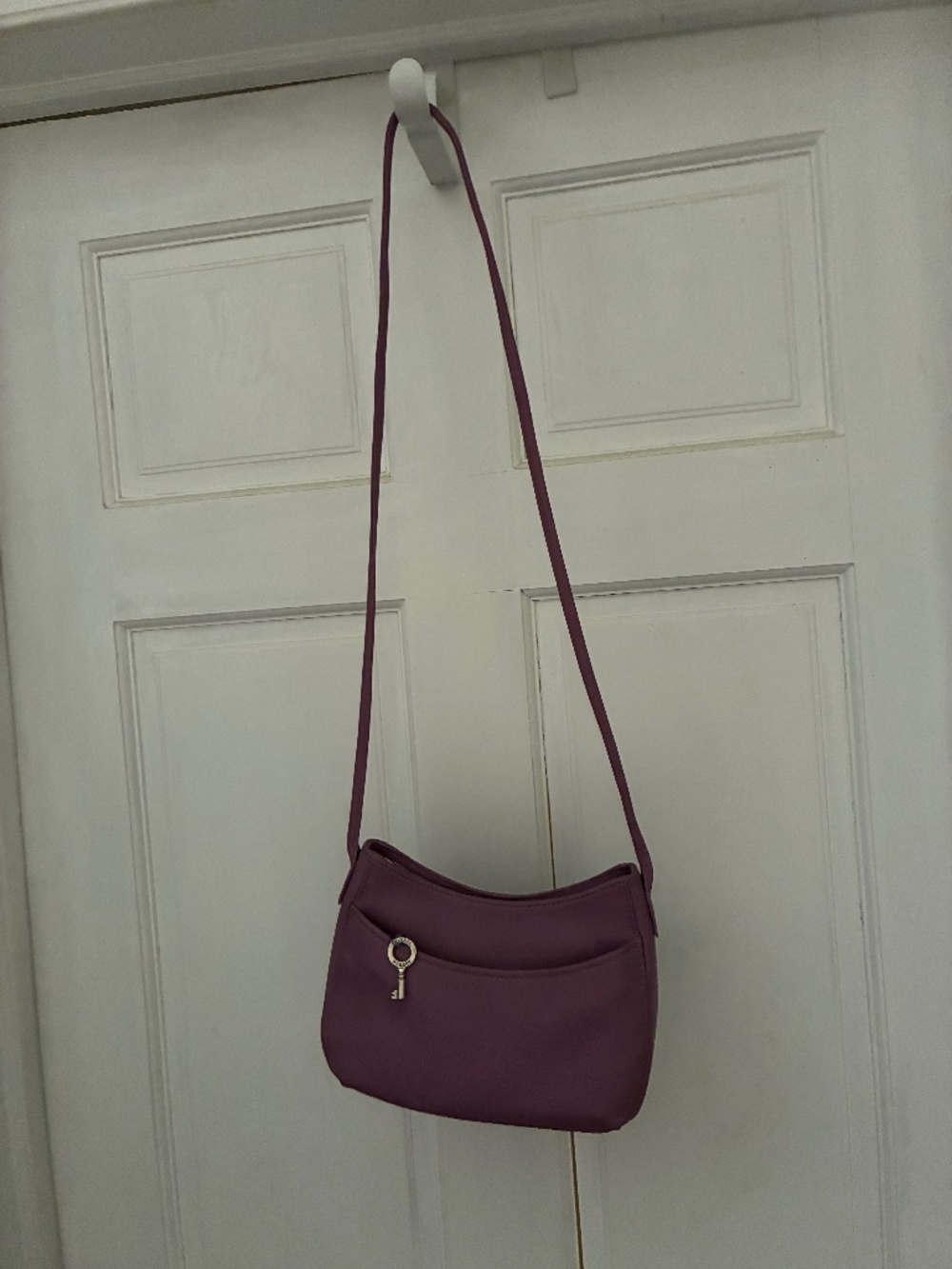 Fossil purse
